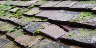 Heath End roof repair costs